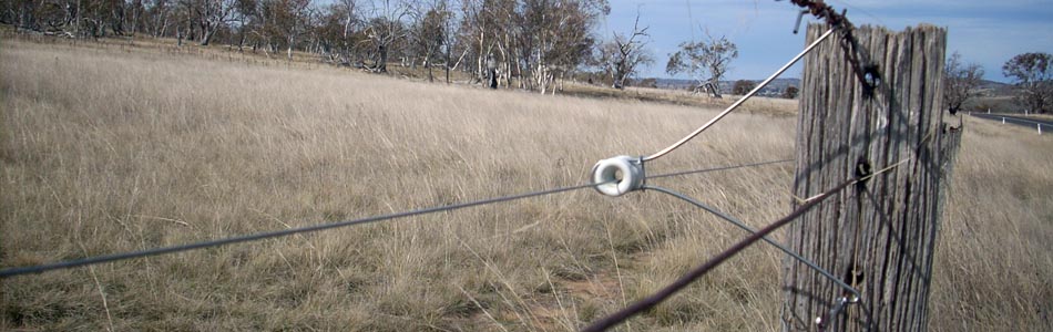 Farm Electric Fence